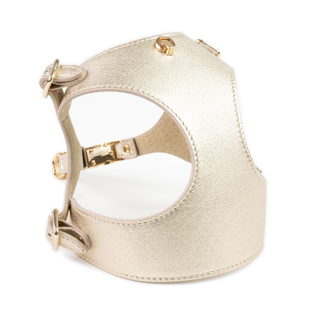 Dog Harness Tino Light Gold