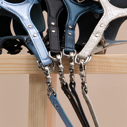 Dog Harness Cherry Rose Pots - Bechiva
