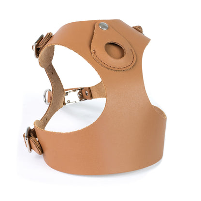 Dog Harness Bechiva AIRTAG Basic