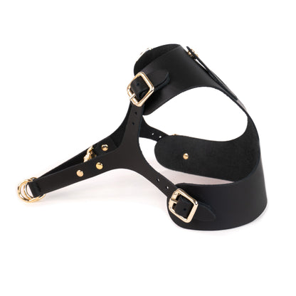 Dog Harness Bechiva AIRTAG Basic