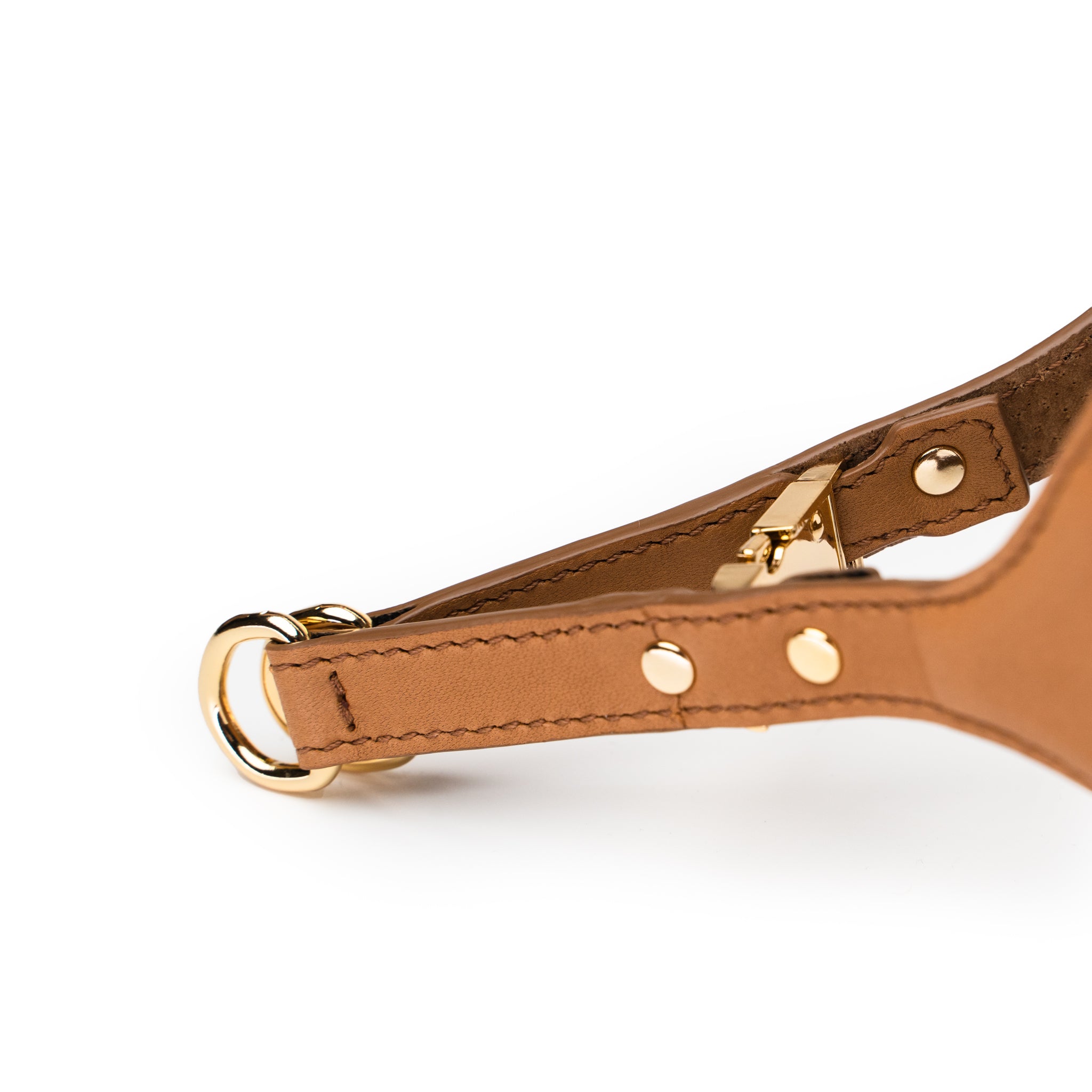&lt;transcy&gt;TINO Pettorina GOLD&lt;/transcy&gt;