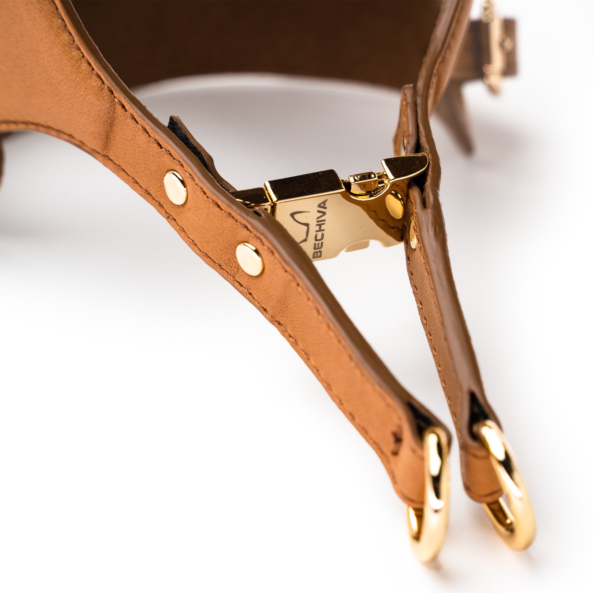&lt;transcy&gt;TINO Pettorina GOLD&lt;/transcy&gt;