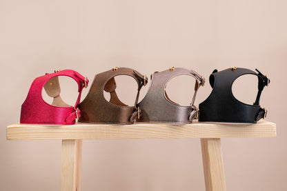 Dog Harness Cherry Black Pots - Bechiva